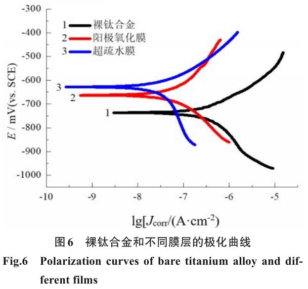 钛合金外貌超疏水膜的制备及其耐蚀性与机械稳固性