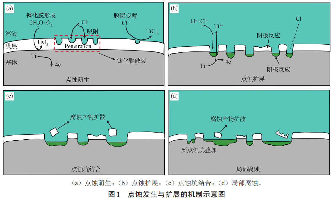 钛锻件钛棒钛板等钛合金质料的局部侵蚀类型及防护步伐