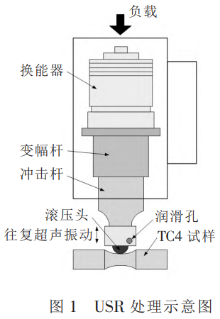 面向钛合金电机转子服役可靠性的超声外貌滚压工艺优化研究——热等静压TC4钛合金棒微观结构、力学性能与疲劳性能的系统性提升，，，，，，高周疲劳强度达560MPa，，，，，，为高端钛合金构件抗疲劳设计提供理论依据与手艺路径