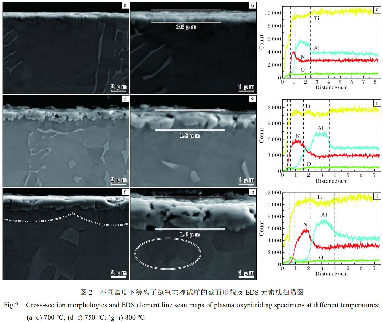 突破TC4钛合金外貌耐磨性能瓶颈：等离子氮氧共渗工艺在700-800℃制备复合渗层，，，，，通过温度精准调控实现渗层结构优化，，，，，耐磨性能显著增强，，，，，阻止基体直接磨损，，，，，为钛合金外貌改性提供高效可行的手艺计划