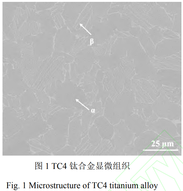 截图20250225165719.png